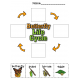 Butterfly Lifecycle Activities - Science & Reading